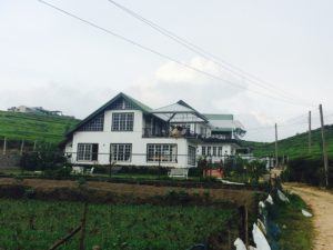 Villa Tea Fields Hotel