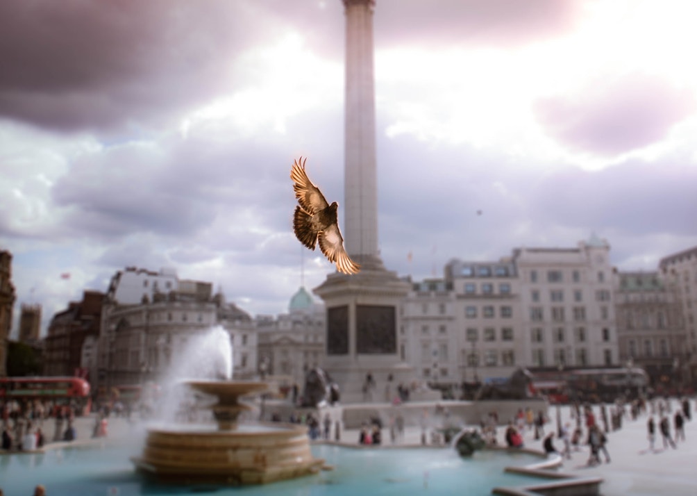 Trafalgar Square, London