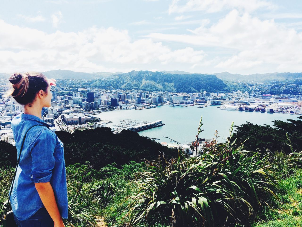 The Ultimate List of the Best Free Things to do in Wellington NZ -