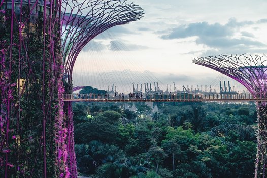 The Gardens and Supertree Grove in Singapore