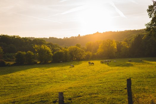 Ardenne, Belgium