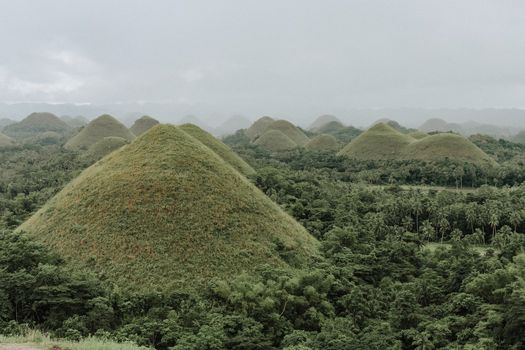 Chocolate Hill, Bohol, Philippines