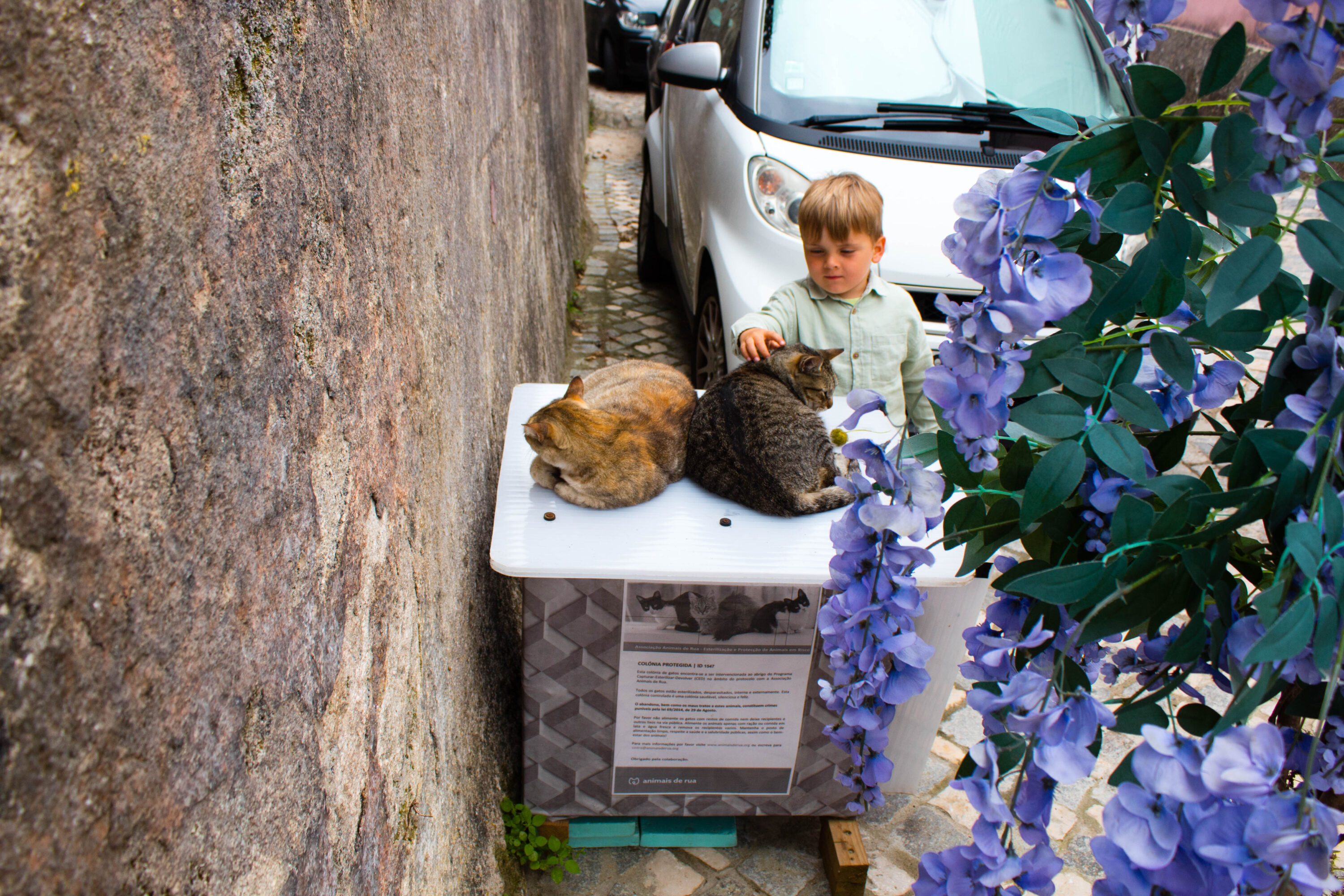 Historic centre of Sintra