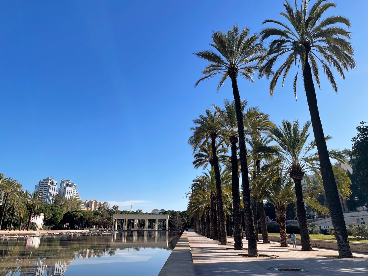 Jardin del Turia, Valencia 