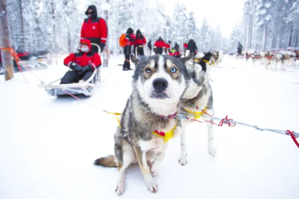 Rovaniemi, finland