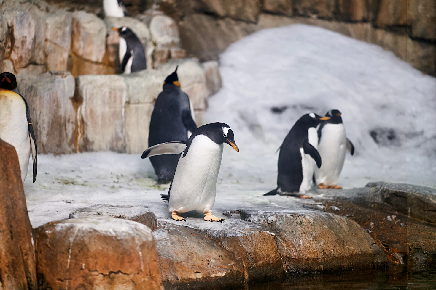 Biodome, Montreal