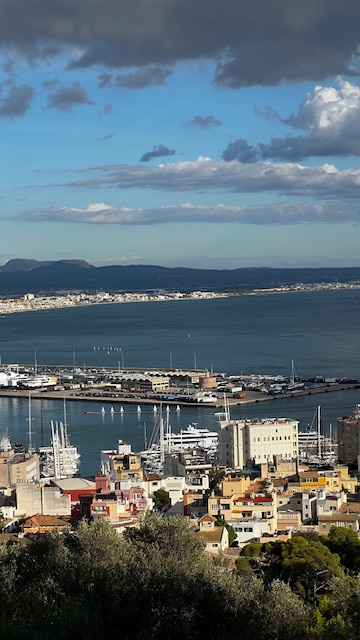 View from Bellver Castle