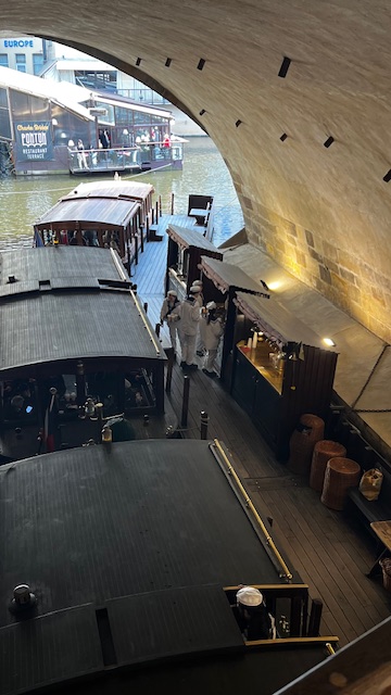 Cruise on the Vltava River