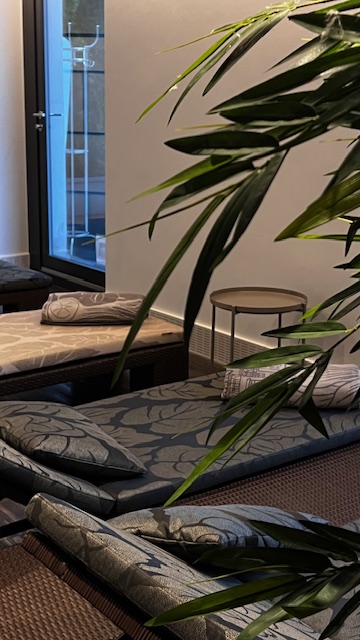 4-star Hotel Vitznauerhof, Switzerland