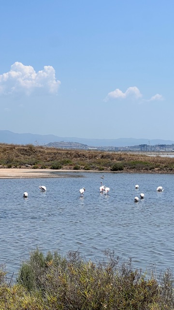 Sardinia vacation