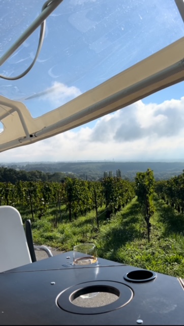 Tuktuk Tour in the Geneva Countryside & Wine Tasting