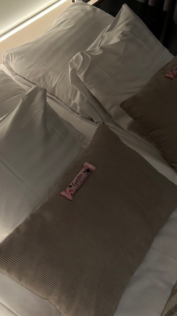 Haawe Boutique Apart Hotel: Hotel in Rovaniemi