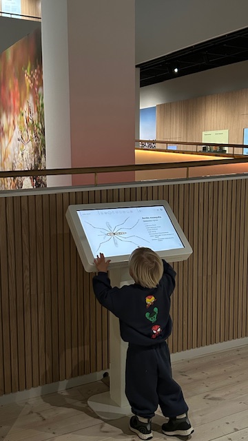 Arktikum: Arctic Science Center & Museum