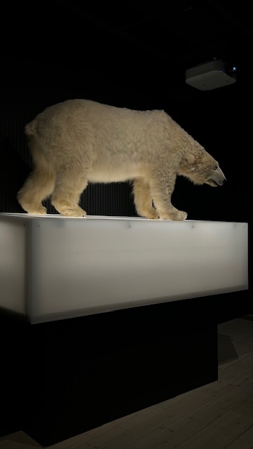 Arktikum: Arctic Science Center & Museum