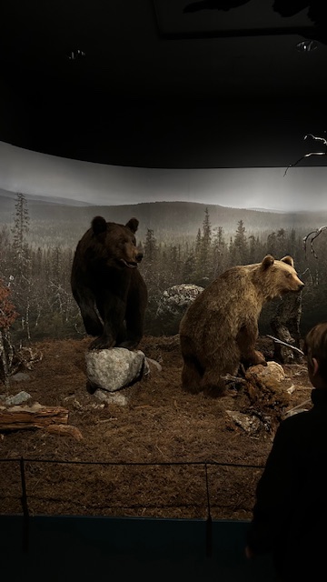 Arktikum: Arctic Science Center & Museum