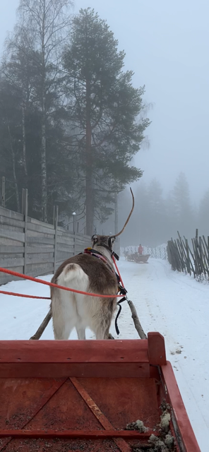 Santa’s Reindeer Sleigh Ride