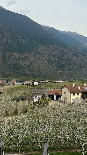 travel to South Tyrol