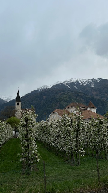travel to South Tyrol