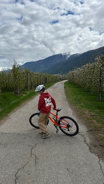Cycling in South Tyrol
