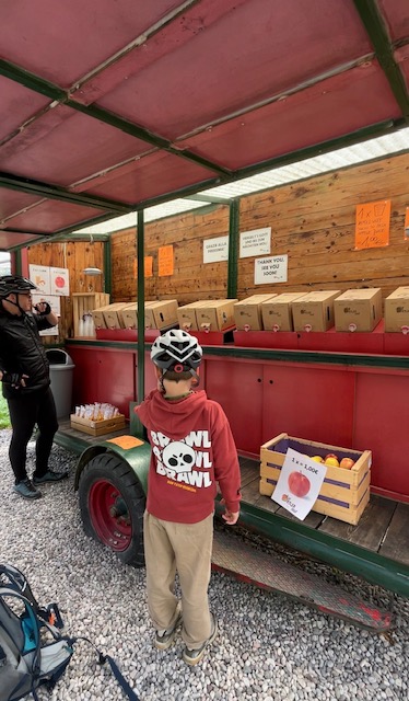 Cycling in South Tyrol