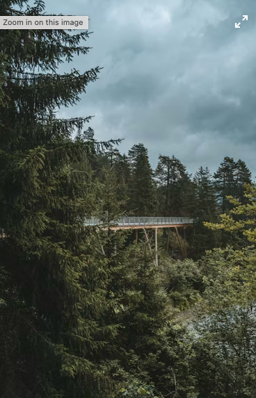 Senda dil Dragun, Flims